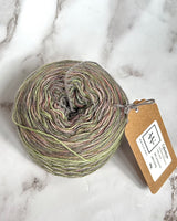 Calzetteria Sock yarn 4-ply striped | 100g